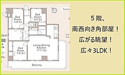 物件画像 ダイアパレス大和