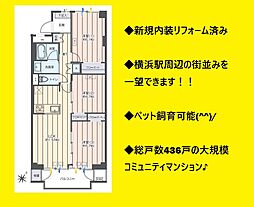 物件画像 三ッ沢ハイタウン4号棟