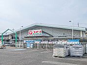 コメリハード＆グリーン大泉店 554m