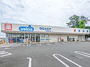 ウエルシア大泉古氷店 538m