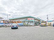 コメリハード＆グリーン新田店 693m