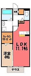 コルマール 1階/-