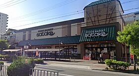 エスリード大阪シティグランツ  ｜ 大阪府大阪市西淀川区野里２丁目（賃貸マンション1K・3階・21.09㎡） その17