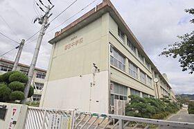 シティパレス佐保川Ｐ-6  ｜ 奈良県奈良市南紀寺町5丁目（賃貸マンション1K・2階・19.24㎡） その28