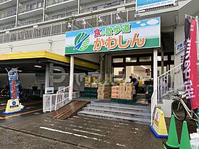 ピュアハウス中山Ａ棟  ｜ 千葉県市川市鬼高２丁目24-9（賃貸アパート1K・1階・17.00㎡） その9