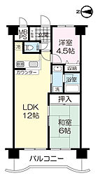 朝日プラザ柏木　1020
