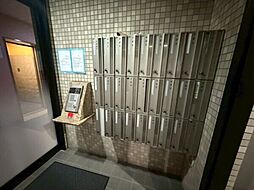 4 / 6
