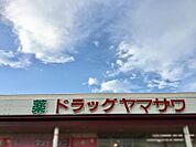 ドラッグヤマザワ中田店 723m
