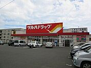 ツルハドラッグ仙台宮千代店 685m