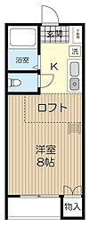パークプレイス ワンルームの間取図画像