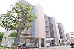 物件画像 ライオンズマンション平塚