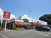 ジュンテンドー 五日市店（905m）