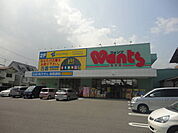 ウォンツ（173m）
