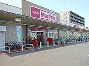 マックスバリュエクスプレス 藤垂園店（236m）