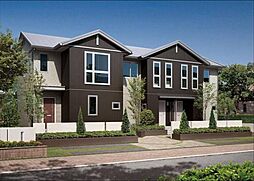 ヴァン・ルーチェ