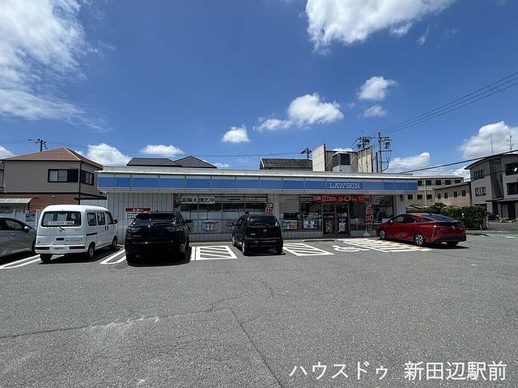 Image 7