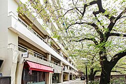 物件画像 中目黒マンション