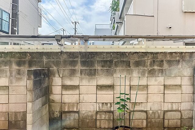 その他 ニューミタカマンション 1階/-