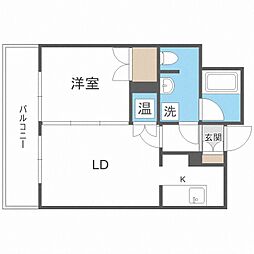 ラフィネタワー札幌南3条 1LDKの間取図画像