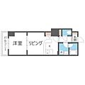 ビッグパレス南6条7階6.7万円