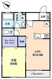 メゾンドールカムイγ 1LDKの間取図画像