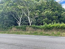 物件画像 揖斐川町谷汲深坂