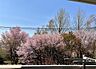 その他：南側の窓から毎年、桜が楽しめます