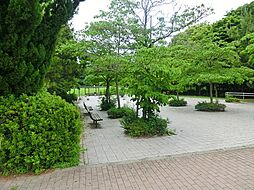 辰巳の森緑道公園まで約977m
