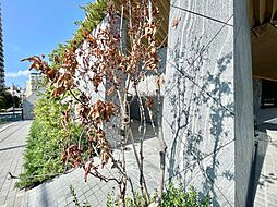 建物の居住性に拘った邸宅は、「落ち着き」と「安らぎ」と「快適」を実現してくれます。いつ友人・親戚・来客が来ても決して油断しないハイスペックな邸宅。