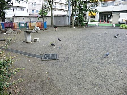亀戸南公園まで約172m