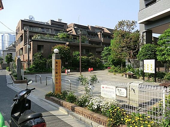 きたしん公園ま...