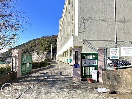 神戸市立布引中学校 徒歩12分。 940m