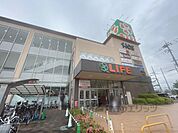 ライフ　八戸ノ里店まで400メートル