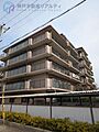 ◆阪神「甲子園...