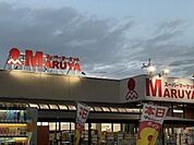 マルヤ 徒歩50分。 3980m