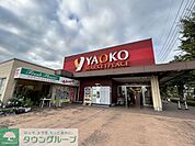 ヤオコー新白岡店 徒歩9分。 700m