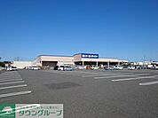 D2ケーヨーデイツー 羽生駅前店 徒歩117分。 9360m