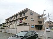 その他 10m