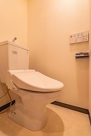 トイレ エクレール平河町 4階/-