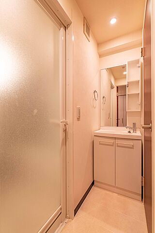 洗面 エクレール平河町 4階/-