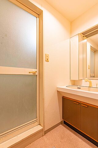 洗面 エクセル西葛西 2階/-