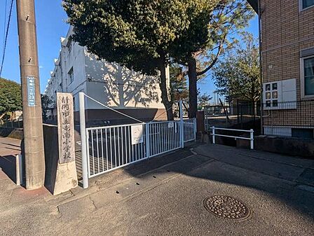 静岡市立竜南小学校 700m