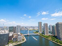 眺望〜スカイツリー、隅田川を望む〜１