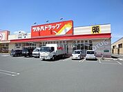 ツルハドラッグ 手稲星置店 2019m