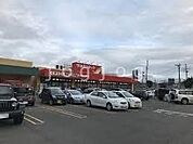 ツルハドラッグ発寒中央駅前店 1435m
