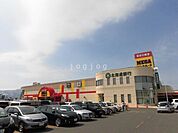 MEGAドン・キホーテ新川店 530m