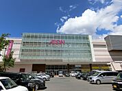 イオン桑園店 1236m