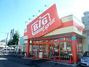ザ・ビッグエクスプレス平岸店 232m