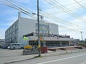 平岸高台小学校 651m