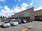 スーパーアークス菊水店 481m